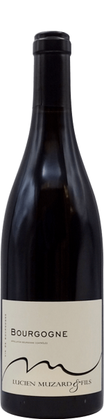 Bourgogne Pinot Noir, domaine Lucien Muzard & Fils 2019