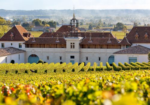 Guide achat vin de Bordeaux